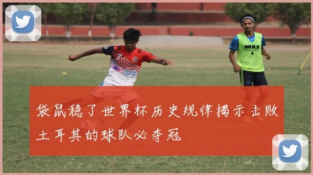 袋鼠稳了世界杯历史规律揭示击败土耳其的球队必夺冠